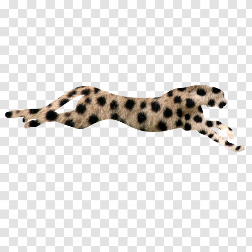 Cheetah Flash Of Two Worlds Download 30 November Transparent PNG