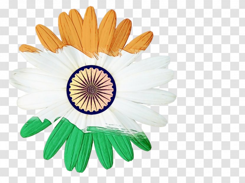 India Independence Day Flower Background - Chamomile - Wildflower Aster Transparent PNG
