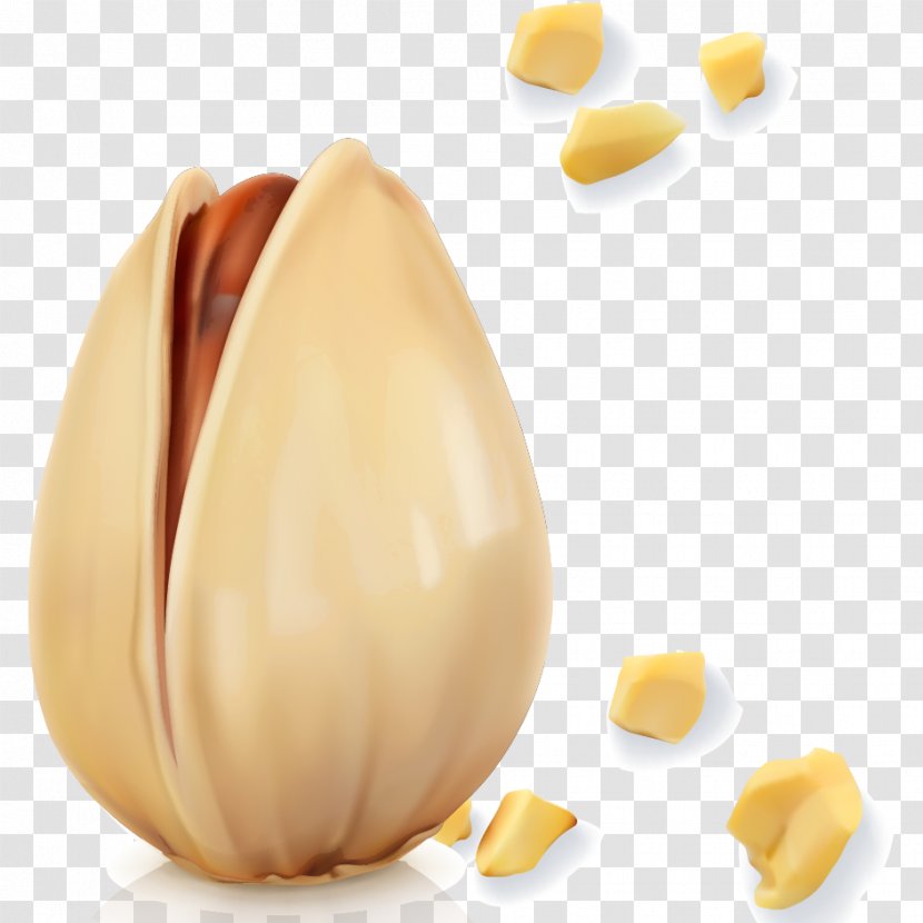 Pistachio Nut Dried Fruit - Pistachios Vector Transparent PNG