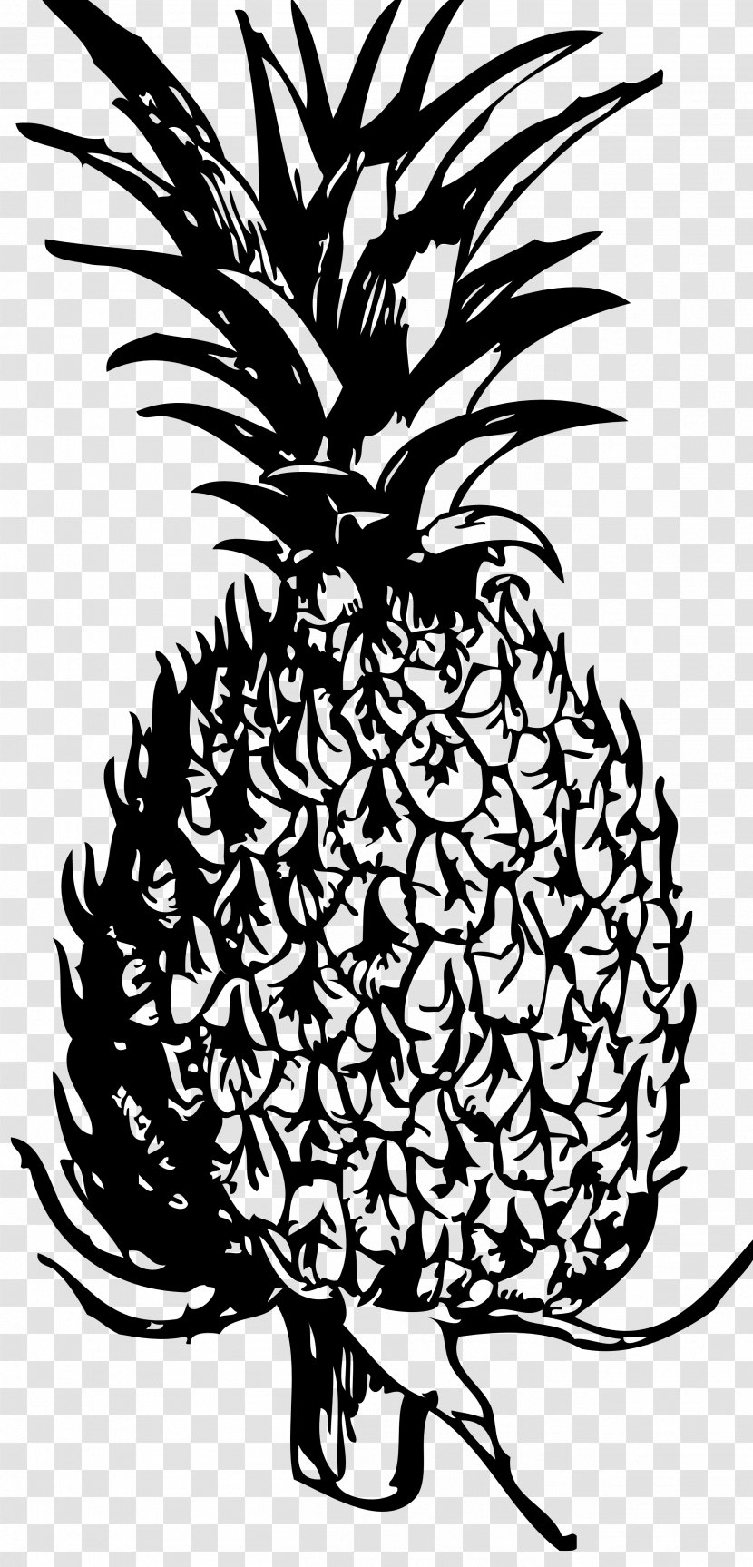 Pineapple Black And White Clip Art Transparent PNG