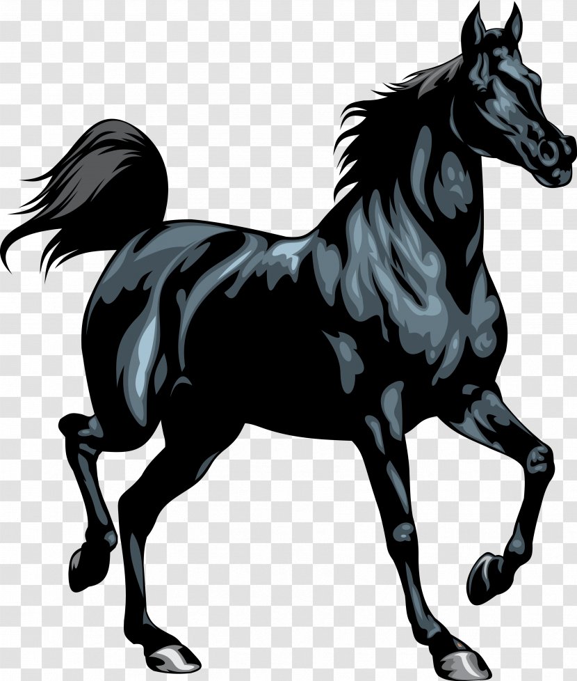 Friesian Horse Stallion Black Clip Art - Horseshoe Transparent PNG