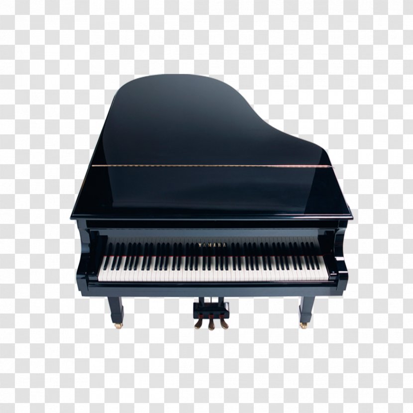 Player Piano Download Musical Instrument - Flower Transparent PNG