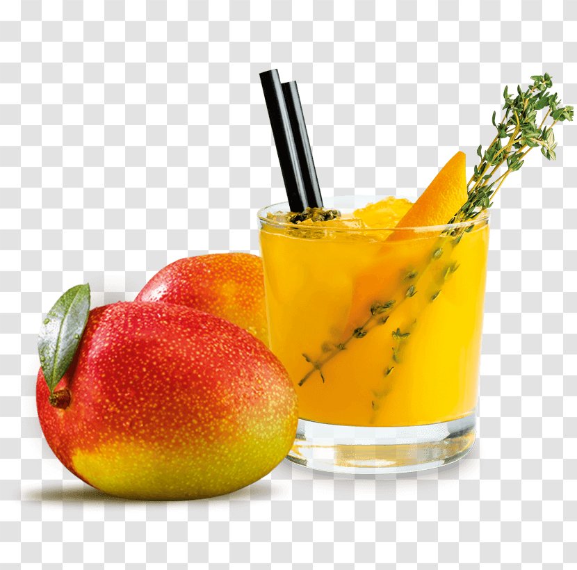 Orange Drink Cocktail Garnish Mai Tai Non-alcoholic Transparent PNG