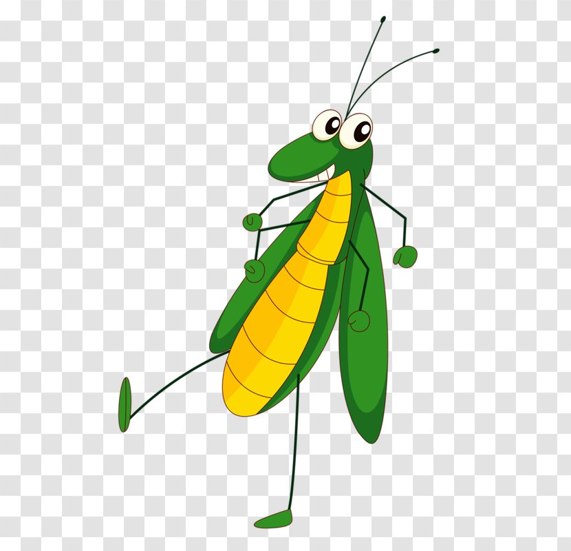 Insect Cartoon Drawing Clip Art - Stock Photography - Mosquito Transparent PNG