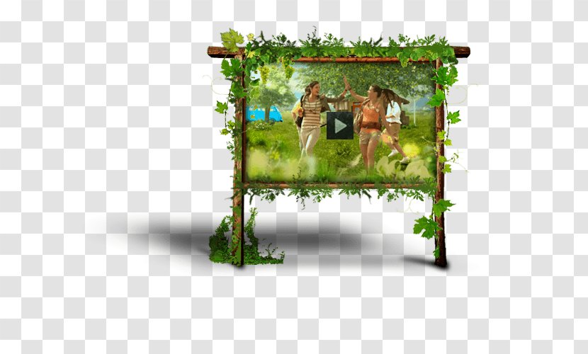 Picture Frames Tree Transparent PNG