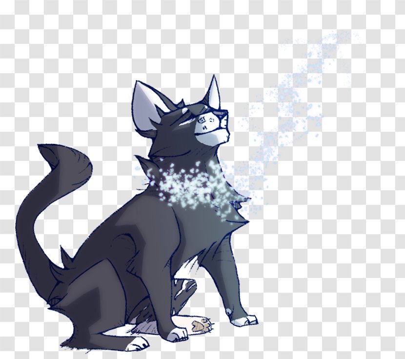 Whiskers Kitten Black Cat Canidae - Legendary Creature Transparent PNG