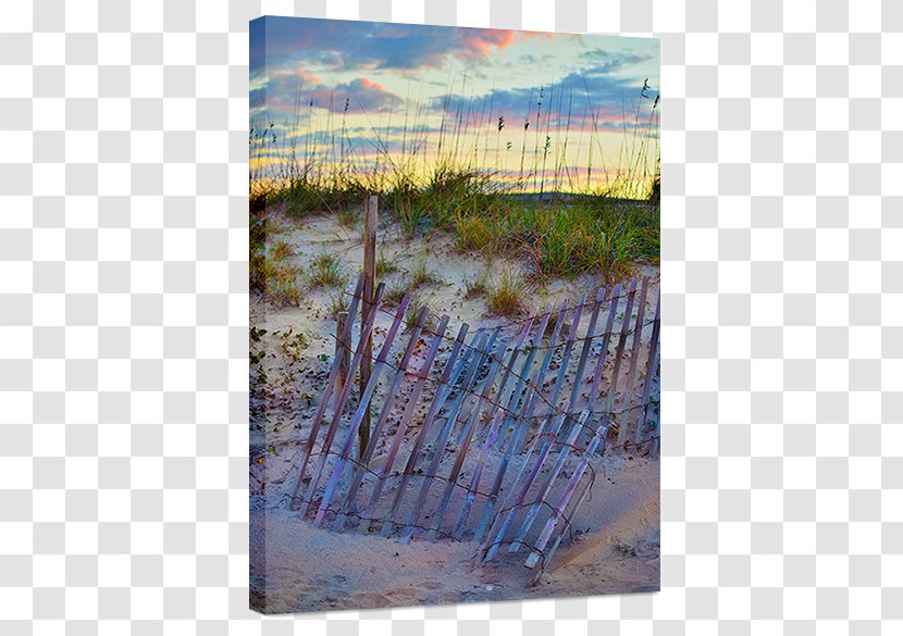 Watercolor Painting Ecoregion Sky Plc - Paint - Canvas Print Transparent PNG