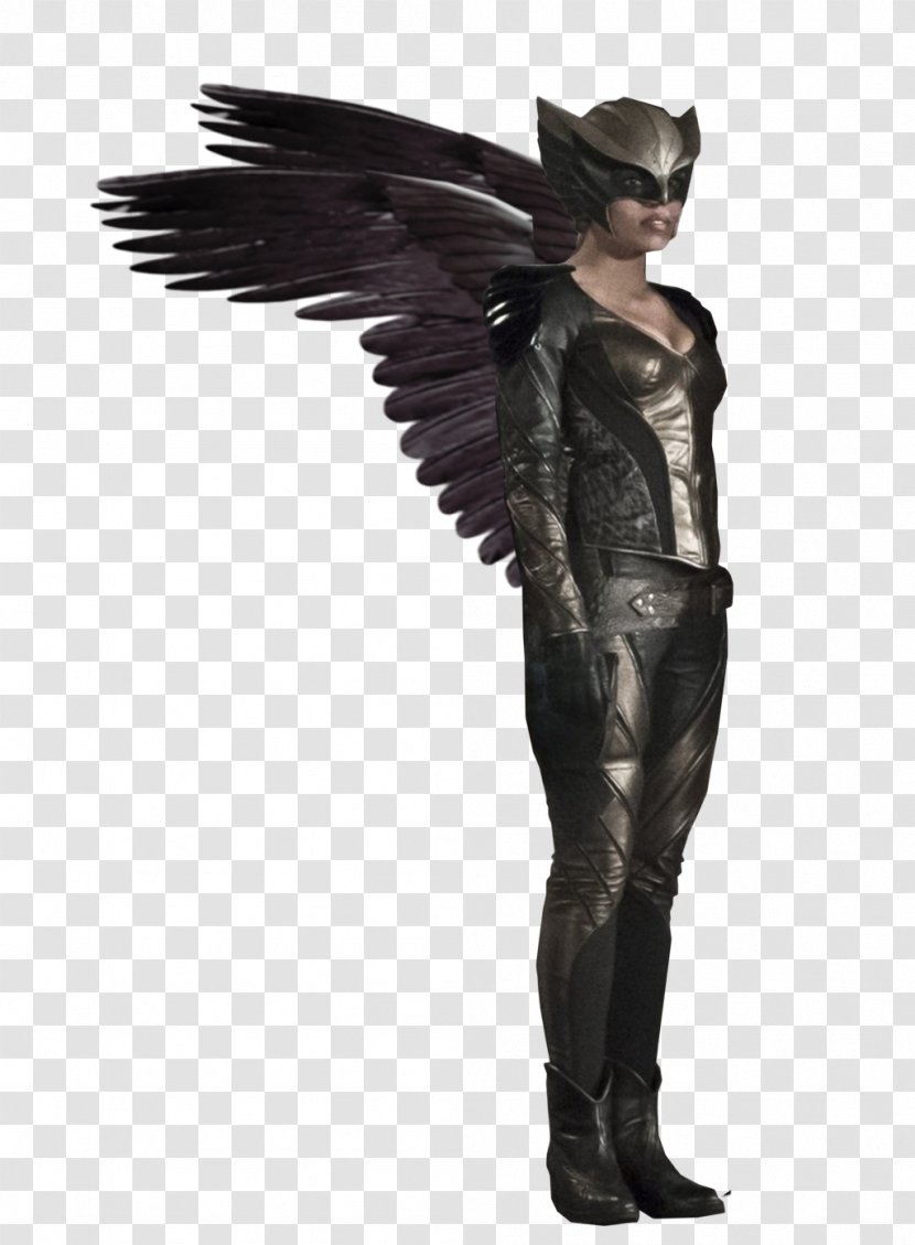 Hawkgirl Hawkman (Katar Hol) Diana Prince Katana - Hawkwoman Transparent PNG