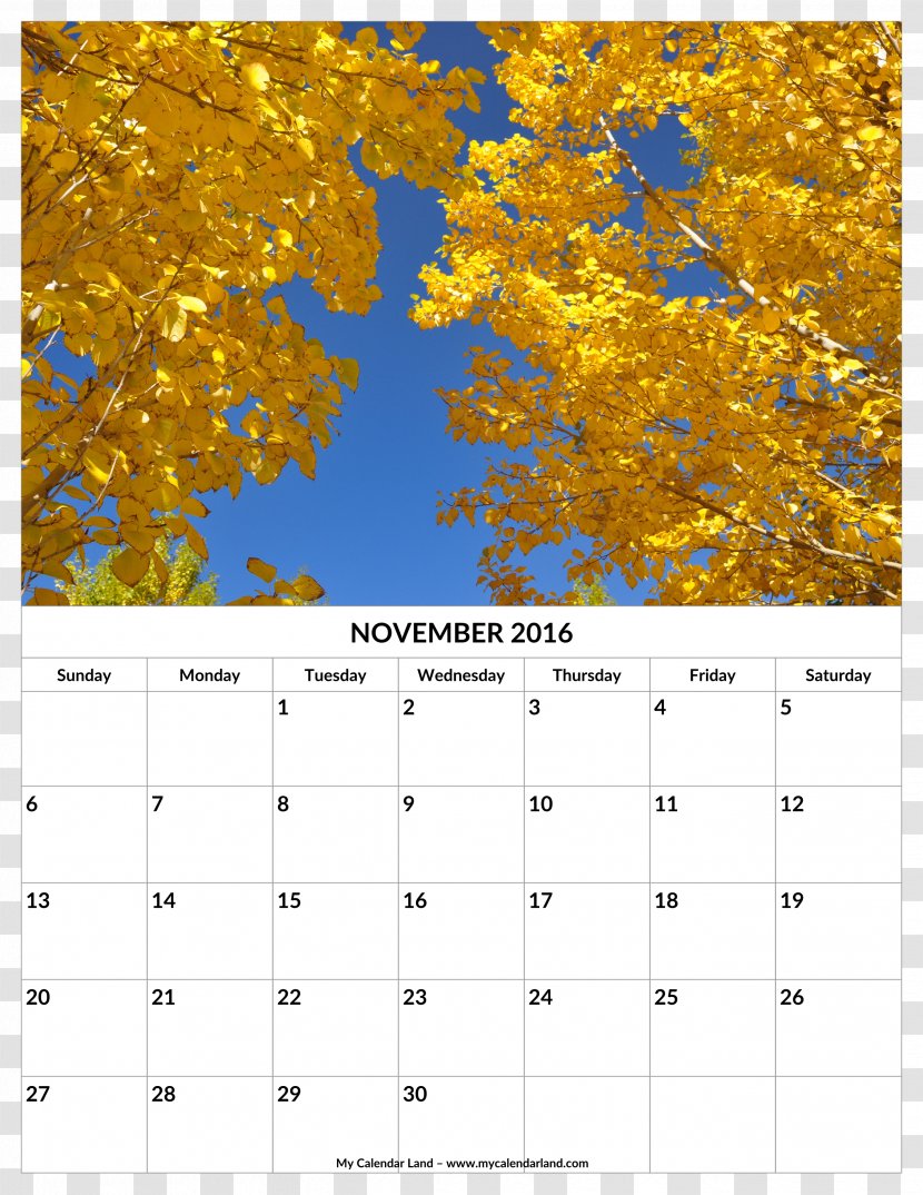 Leaf Autumn Yellow Calendar Deciduous - Tree - November Transparent PNG