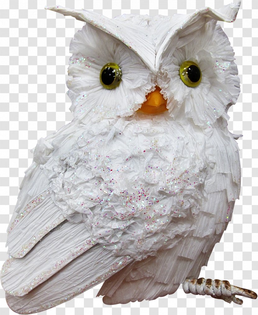 Little Owl Bird Clip Art - Blog - Creative Transparent PNG