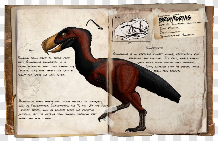 ARK: Survival Evolved Sarcosuchus Giganotosaurus Dinosaur Argentavis Magnificens Transparent PNG