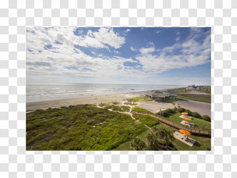 Holiday Inn Club Vacations Galveston Beach Resort Seaside Hotel - And Transparent PNG