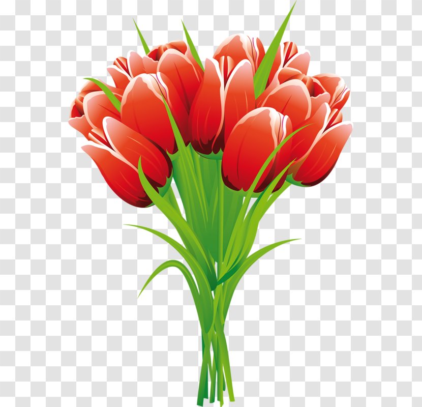 Skagit Valley Tulip Festival Clip Art - Spring Transparent PNG
