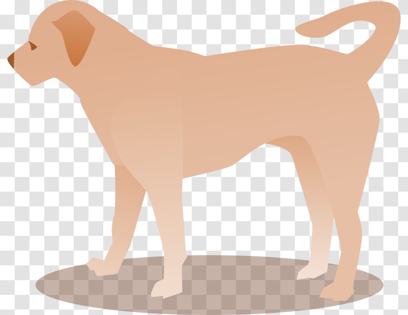 Dog Breed Puppy Sporting Group Companion - Small Transparent PNG