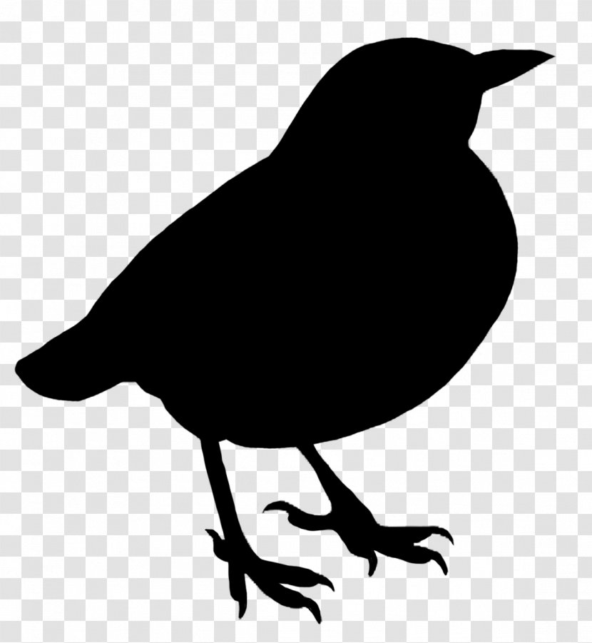 Bird Silhouette Drawing Clip Art - American Crow - Silhouettes Transparent PNG