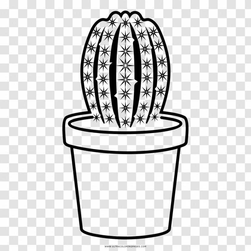 Cactaceae Drawing Prickly Pear Coloring Book - Flower - Cacto Transparent PNG