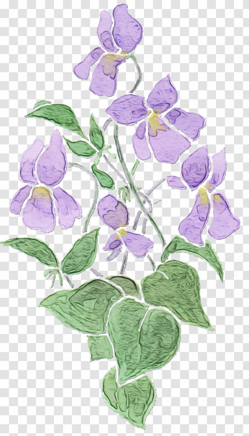 Flower Violet Purple Plant Flowering - Wet Ink - Periwinkle Petal Transparent PNG