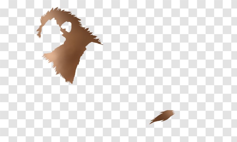 Lion Hyena Mane Eagle Wildlife - Bird Of Prey - Color Shard Transparent PNG