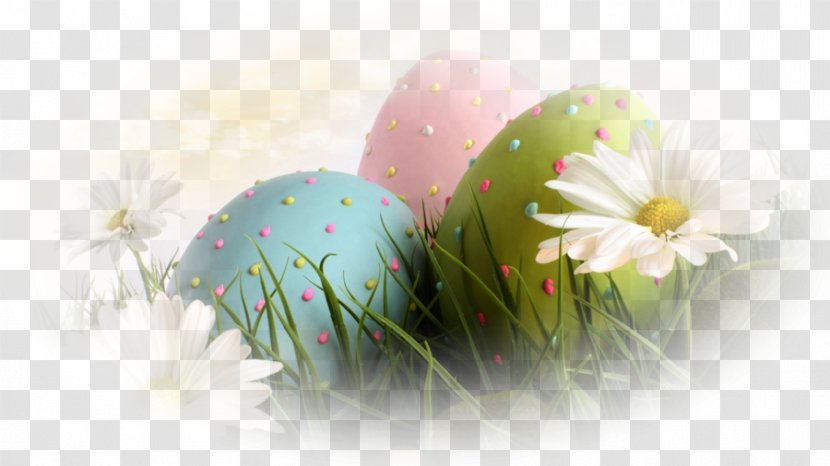 Easter Bunny Wish Greeting & Note Cards Resurrection Of Jesus - Floral Eggs Transparent PNG