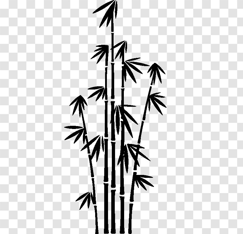 Bamboo Phyllostachys Nigra - Vecteezy Transparent PNG