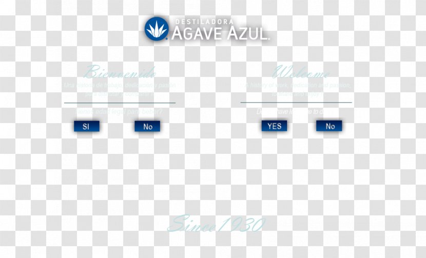 Destiladora Agave Azul Tequila San Juanito Brand - Text - Diagram Transparent PNG