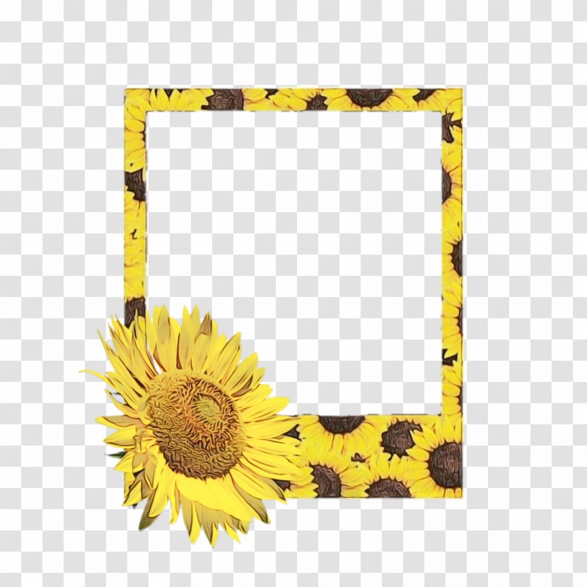Background Flower Frame - Sunflower - Wildflower Daisy Family Transparent PNG