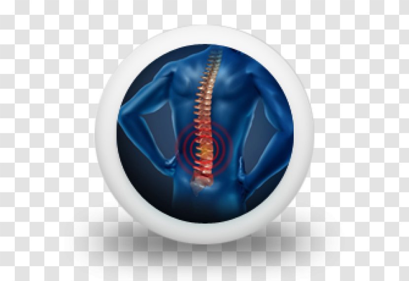 Pain In Spine Low Back Human Neck Lumbar - Organism Transparent PNG