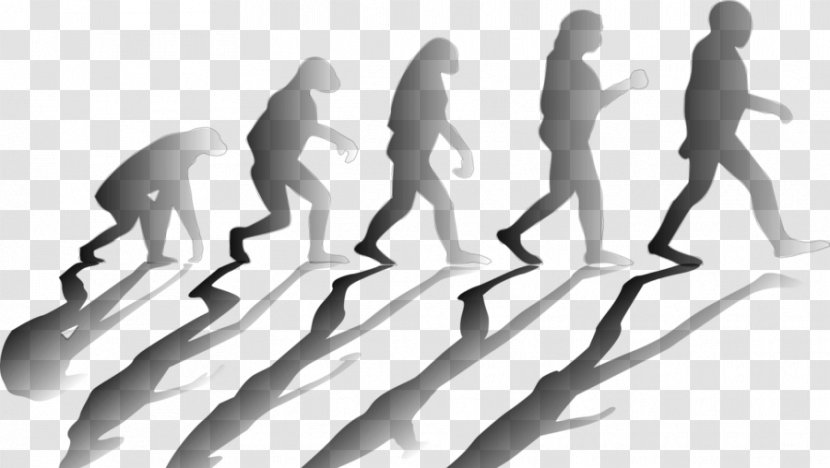 Social Media Evolution Advertising Research - Black And White Transparent PNG