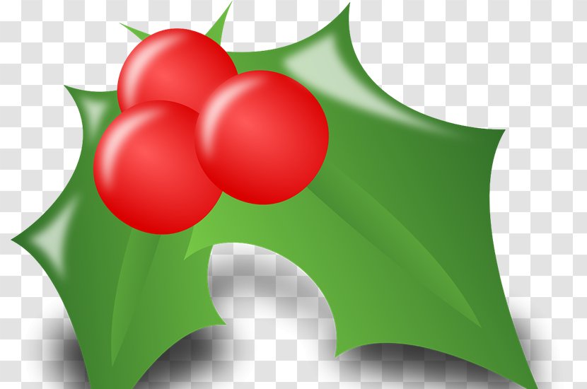 Christmas Ornament Gift Decoration Clip Art - Plant Transparent PNG