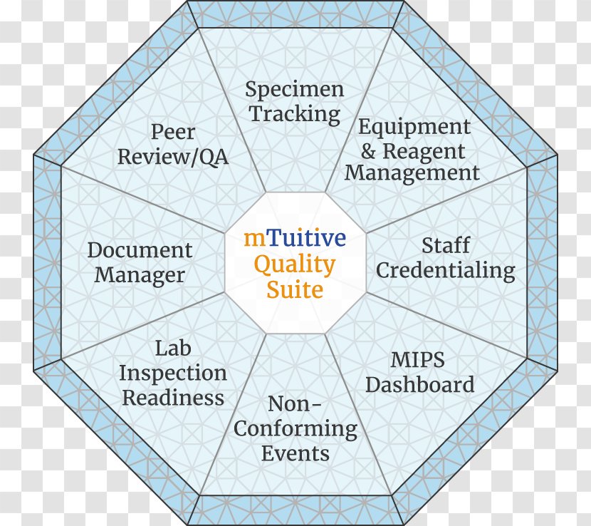 Quality Assurance Brand Organization Performance Metric - Screenshot - Pathology Lab Transparent PNG