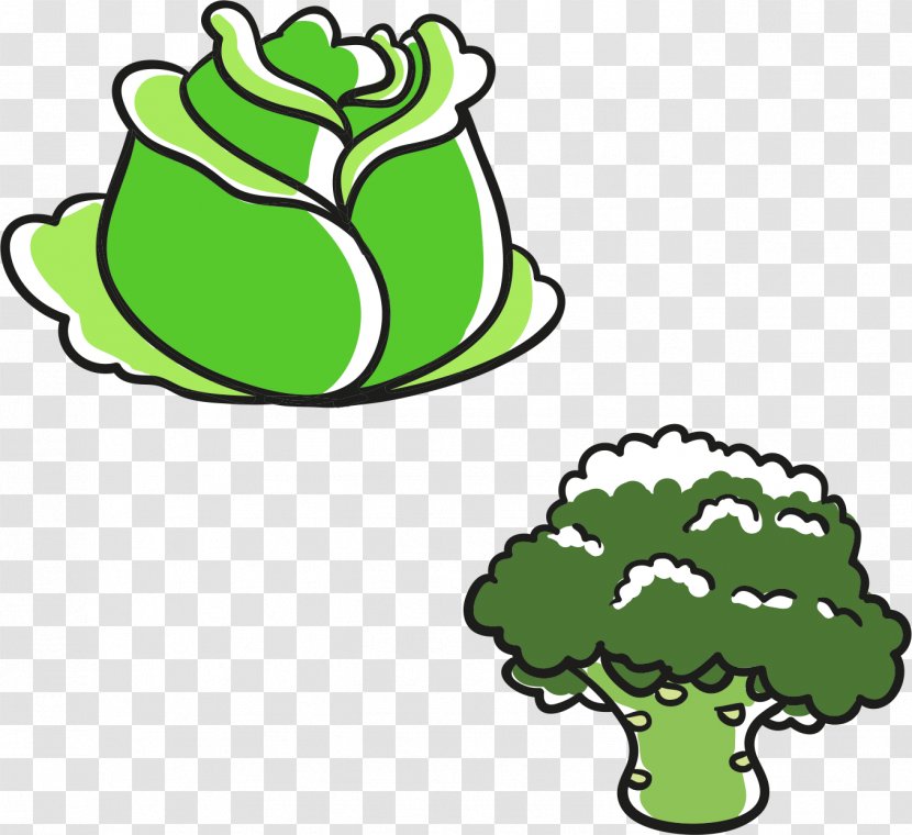Cabbage Broccoli Leaf Vegetable - Vecteur - Cartoon Vegetables Transparent PNG