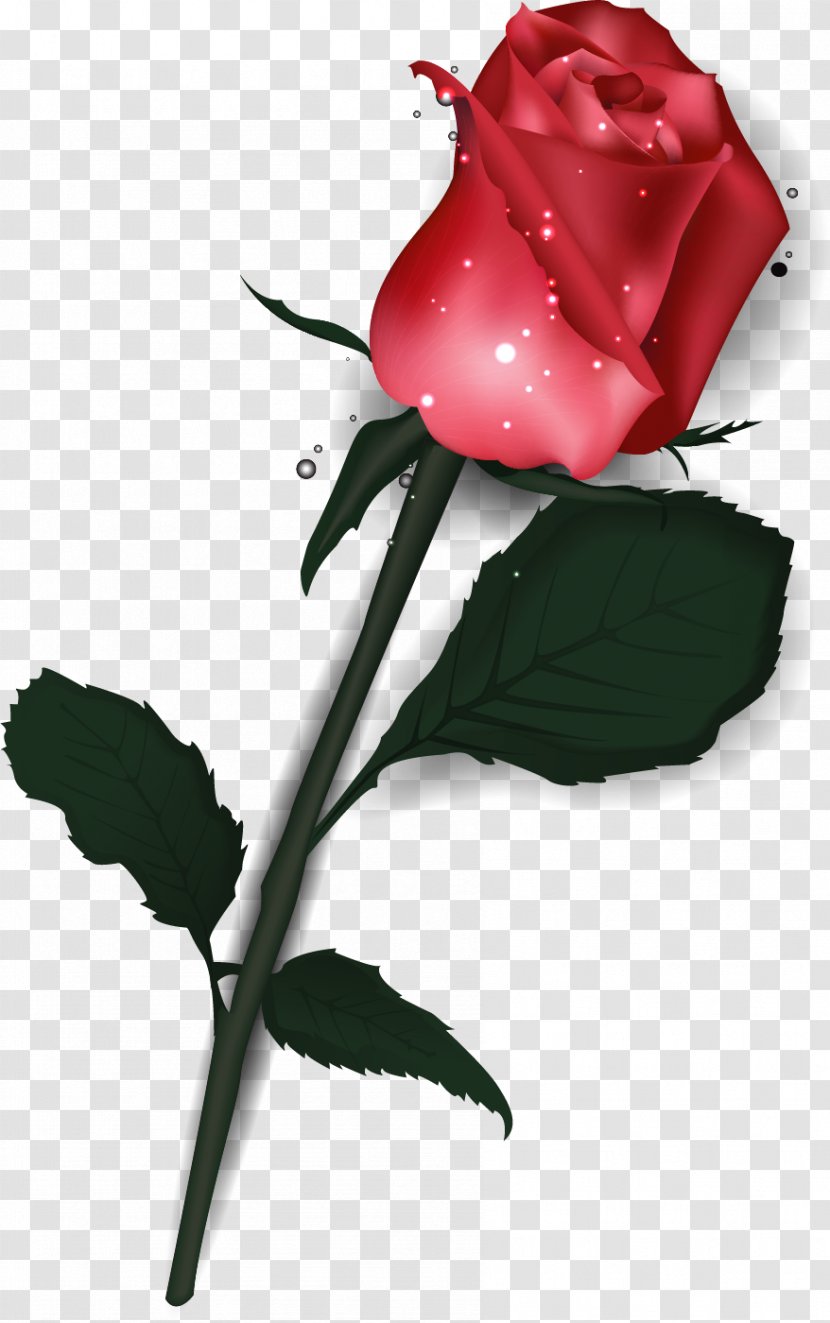 Rose Valentine's Day Heart Poster - Parasol Transparent PNG