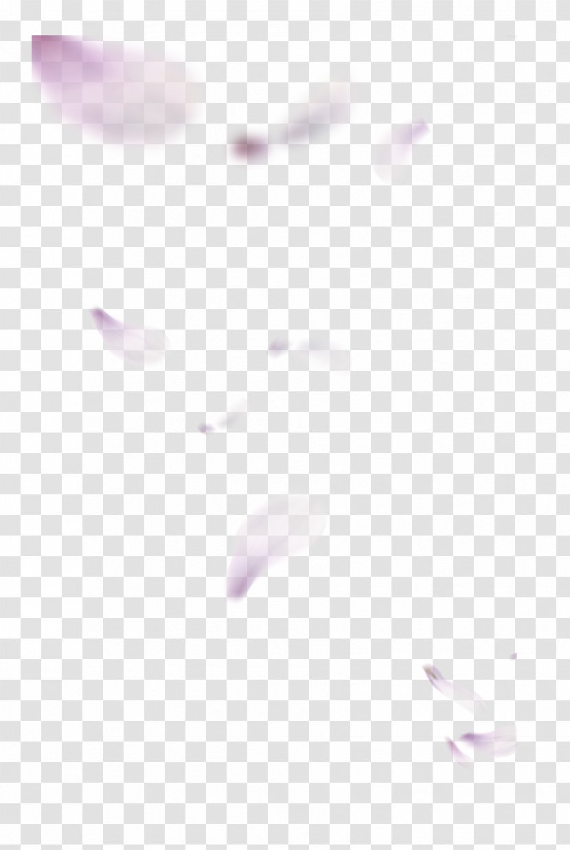 Petal Flower Pink Yellow - Falling Petals Transparent PNG