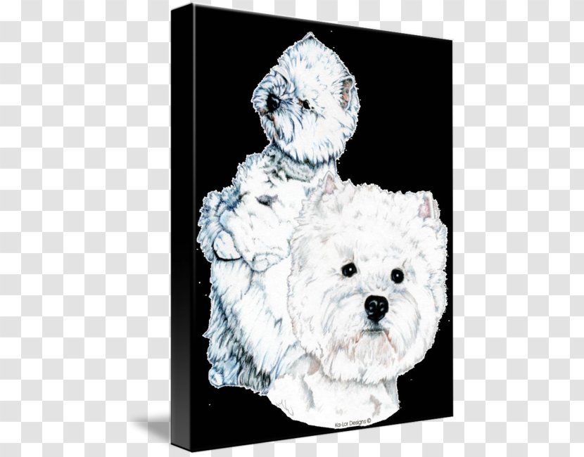 Maltese Dog West Highland White Terrier Puppy Bichon Frise Breed Transparent PNG