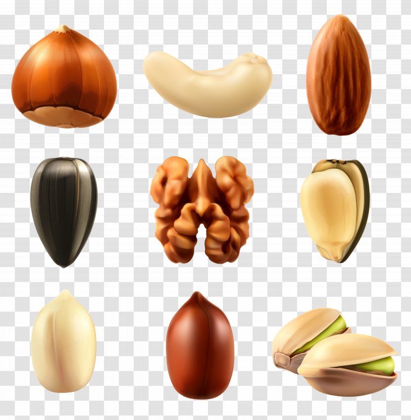 Nucule Mixed Nuts Euclidean Vector Dried Fruit - Royalty Free - Collection Clipar Image Transparent PNG
