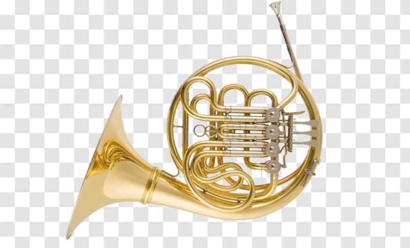 Saxhorn French Horns Mellophone Paxman Musical Instruments - Tree Transparent PNG