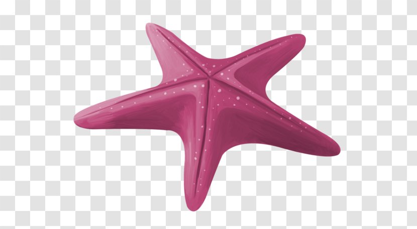 Starfish Pisaster Ochraceus Euclidean Vector - Marine Invertebrates - Purple Transparent PNG