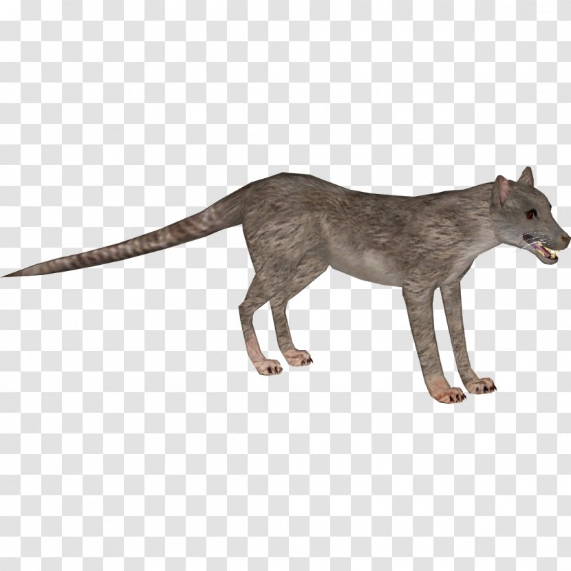 Red Fox Child Oviraptor Viverridae Coyote - Animal Figure - Antelope Transparent PNG