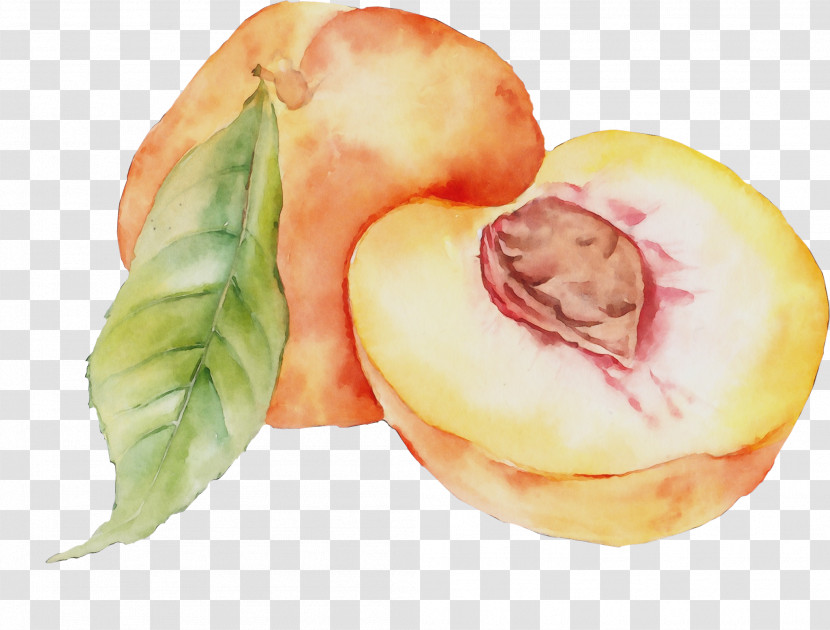 Peach Food Plant Fruit Watercolor Paint Transparent PNG