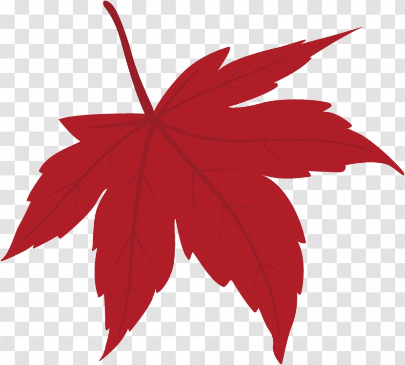 Maple Leaf Fallen Dead - Plant - Sweet Gum Transparent PNG