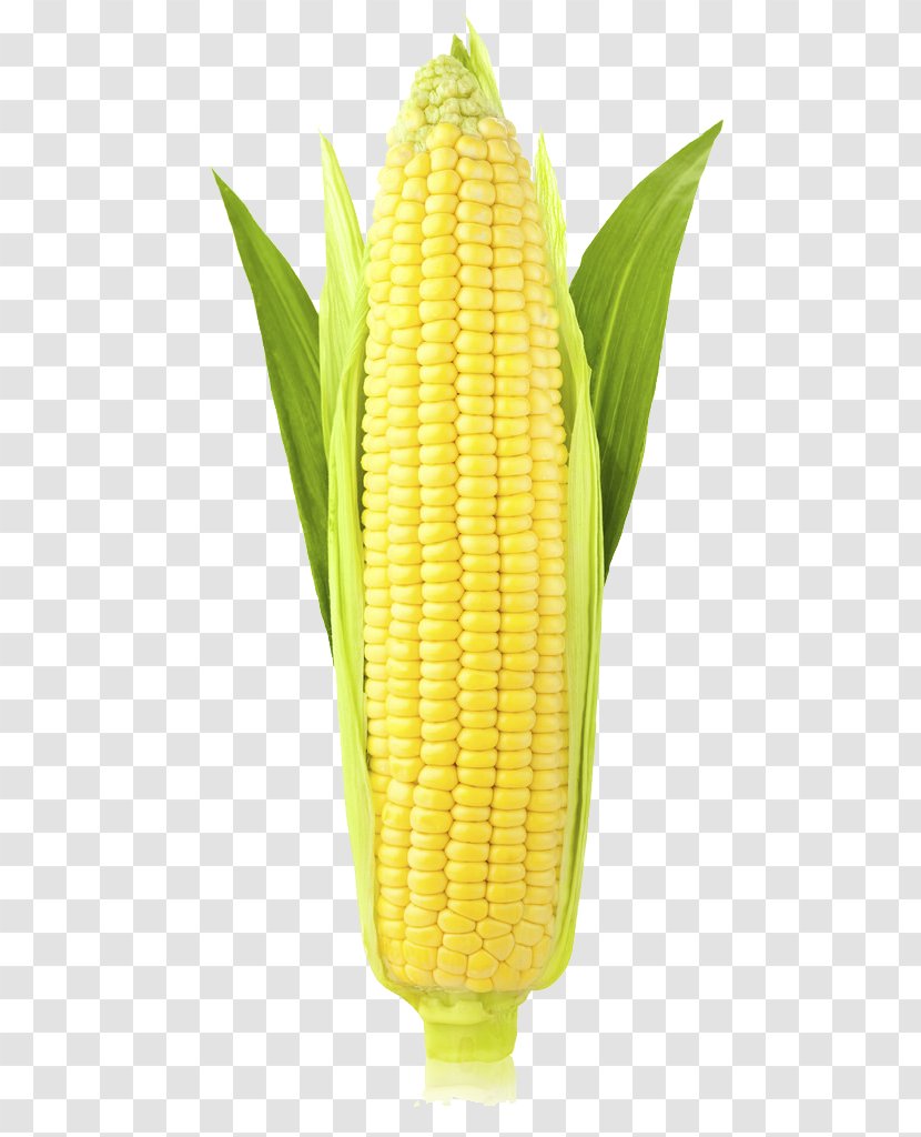 Corn On The Cob Organic Food Maize Pastel De Choclo Pudding - Ear Transparent PNG
