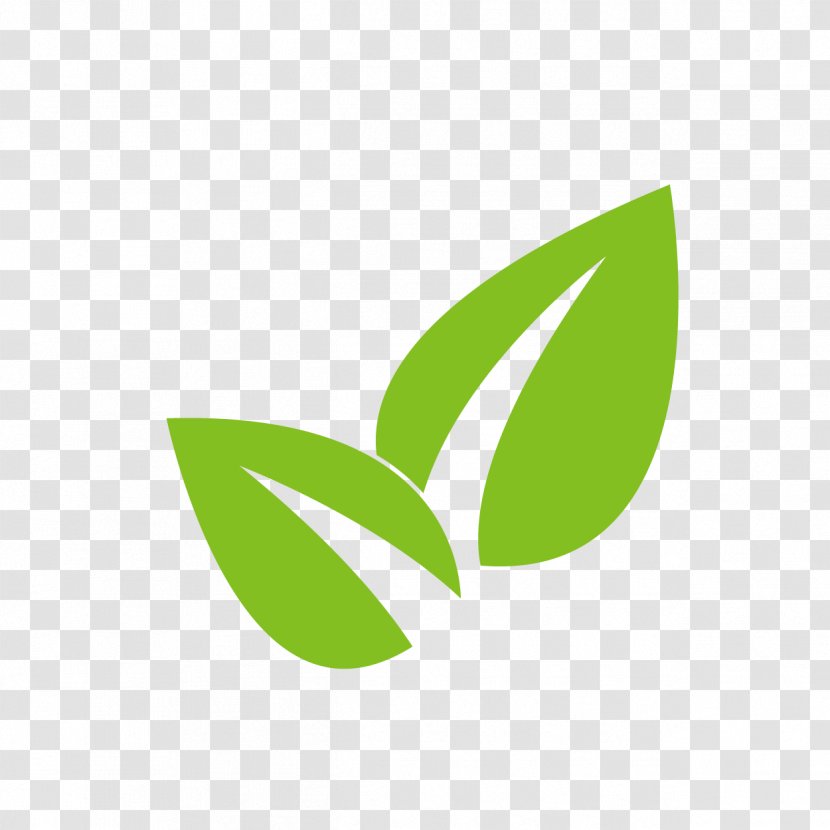 Leaf Plant Logo Root Transparent PNG