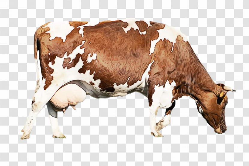 Dairy Cattle Ox Anti-inflammatory Antiparasitic Hormone Transparent PNG