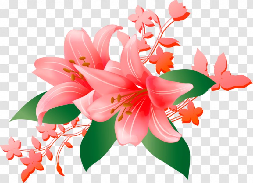 Pelgulinna Hospital Love Daytime Happiness Internet - Amaryllis Belladonna - Flowers Pastel Transparent PNG