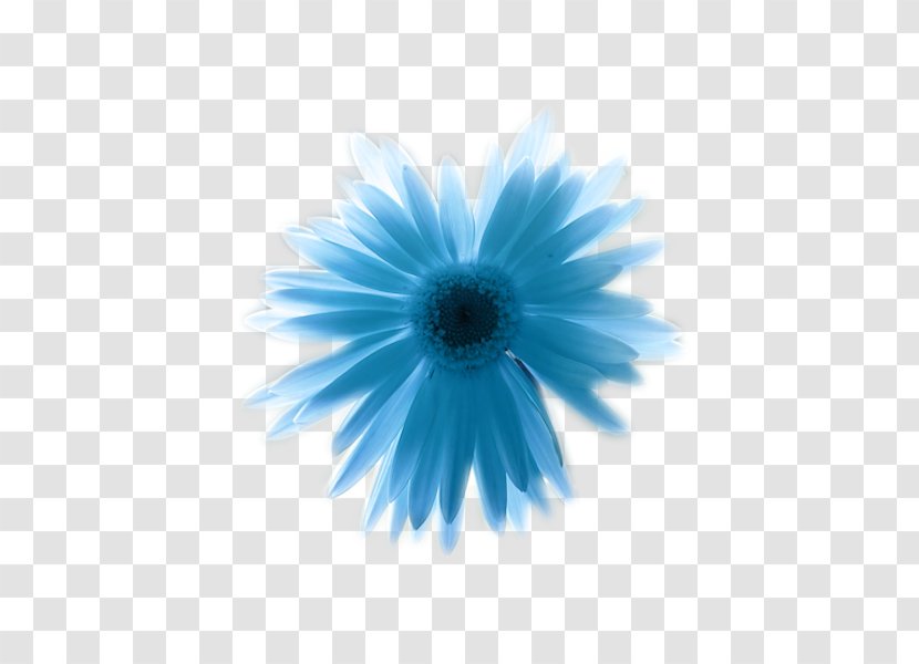 Blue Primary Color Paper Flower - Close Up - Turquoise Transparent PNG