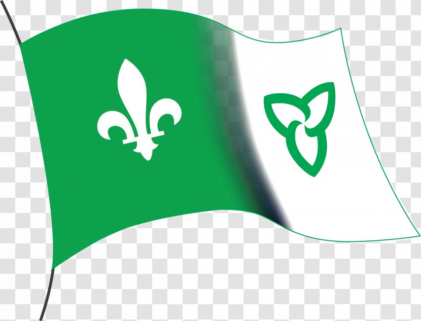 Ontario Franco-Ontarian Flag French - Organisation Internationale De La Francophonie Transparent PNG