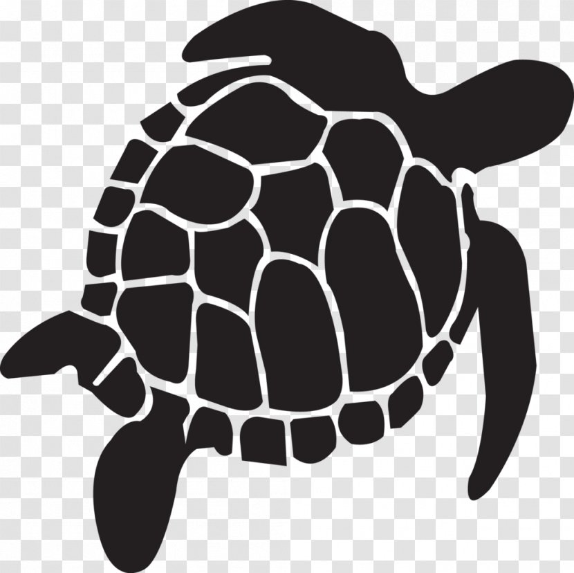 Tortoise Turtle Reptile Vector Graphics Transparent PNG