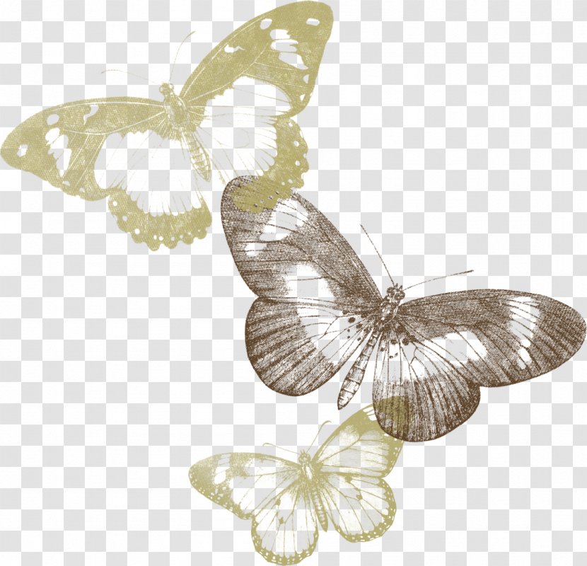 Picture Frames Clothing Accessories Photography Mask - Butterflies Float Transparent PNG