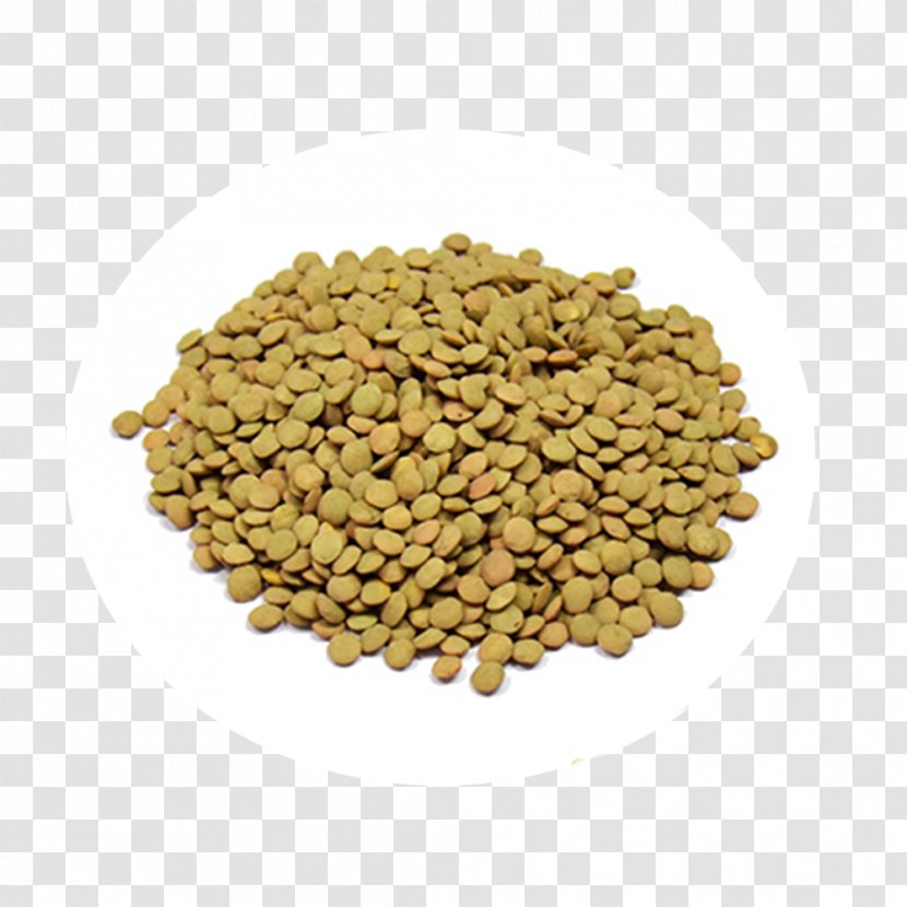 Lentil Dal Vegetarian Cuisine Legume Bean - Indian Pea - Fava Transparent PNG
