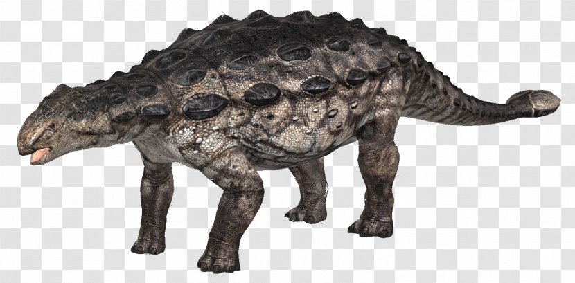 Ankylosaurus Tyrannosaurus Dinosaur Pachycephalosaurus Euoplocephalus - Snout - Jurassic Park Transparent PNG